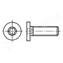 3060021 / Csavar, M6x20, hengeres fej, Torx®, TX20, 8.8 (3060021 / BOSSARD)